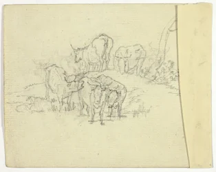 Vieh (recto); Der Scharlatan (verso)