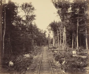 Ganoga-See-Zweig, ca. 1895