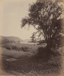 Malerische Susquehanna, nahe Laceyville, um 1895