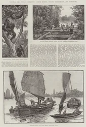 Kolonial- und Indische Ausstellung, Nord-Borneo, Straits Settlements und Hongkong