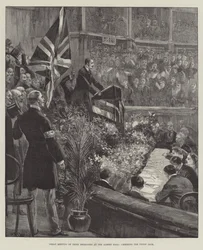 Großes Treffen irischer Delegierter in der Albert Hall, Jubel für den Union Jack