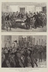 Die Agitation der Irish Land League