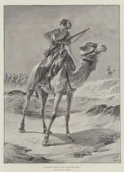 Die einheimische ägyptische Armee, das Kamelkorps