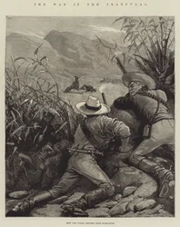 Der Krieg im Transvaal