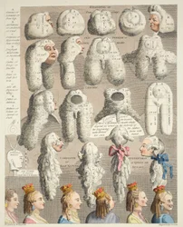 Die fünf Ordnungen der Perücken, Illustration aus 