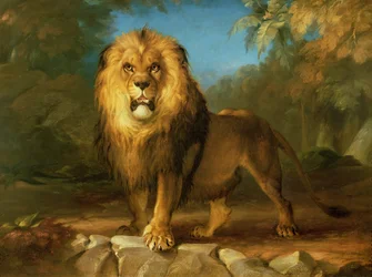 Ein Löwe, 1840