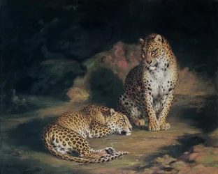 Ein Paar Leoparden, 1845