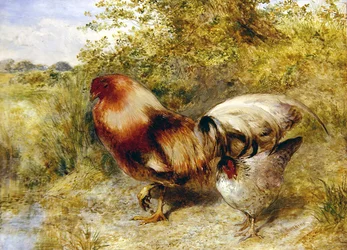 Geflügel in einer Landschaft
