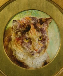 Studie einer Schildpattkatze