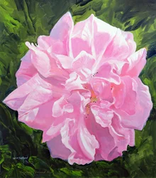Viktorianische Rose