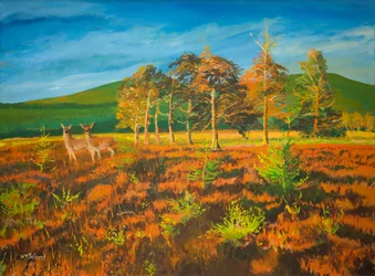 bei Aviemore, Schottland
