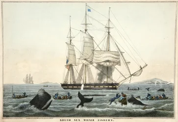 Südsee-Walfang, veröffentlicht 1825