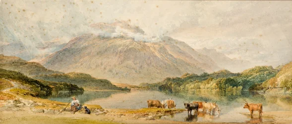 Rinder in einer Landschaft