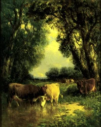 Ein Ruhiges Plätzchen