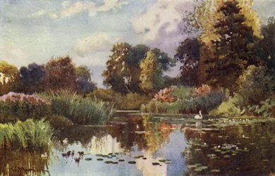 Der See im Botanischen Garten