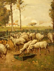 Der Schafstall