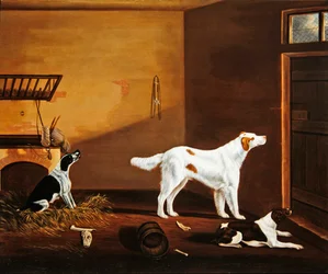 Drei Hunde in einem Stall