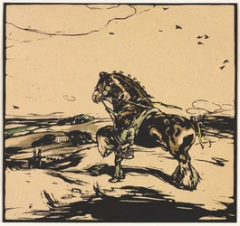 Das Shire-Pferd