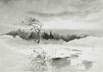 Landschaft mit Wasser und windgepeitschtem Baum