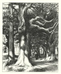 Der Weg zum Kapitelsaal (Stich)