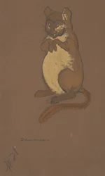 Schlafmaus-Kostümentwurf für Alice im Wunderland