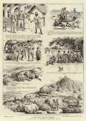 Eine Geschichte von einer berühmten Pantherjagd