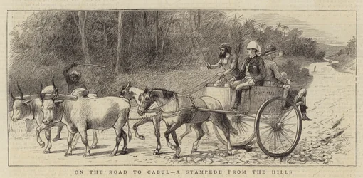 Auf dem Weg nach Kabul, eine Stampede aus den Hügeln