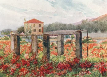 Ein Rosengarten, Bordighera