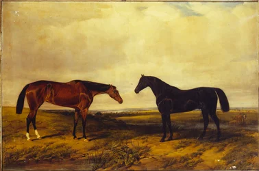 Die hellbraune Stute und der dunkelbraune Hengst des Earl of Granard, 1885