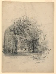 Landschaft, Darmstadt, Deutschland