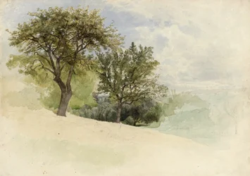 Landschaft mit Bäumen auf einem Hügel, 1880-85