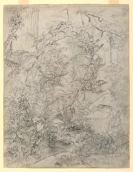 Studie von Laub