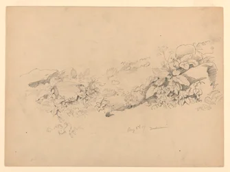 Studie von Laub, Trachselwald, Bern, Schweiz