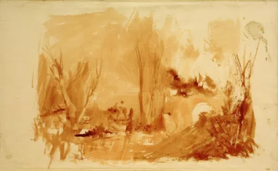 Eine bewaldete Landschaft