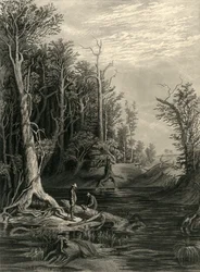 Der Chickahominy, 1872