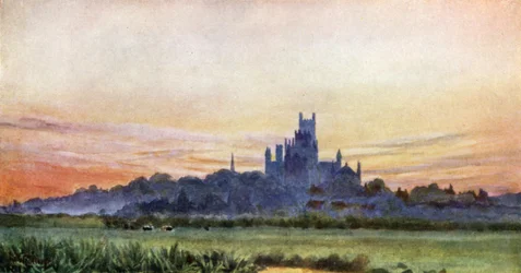 Ely von den Sümpfen aus