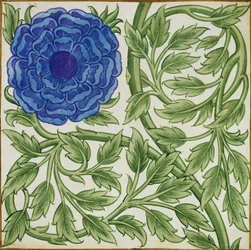 Pflanze mit blauer Blume