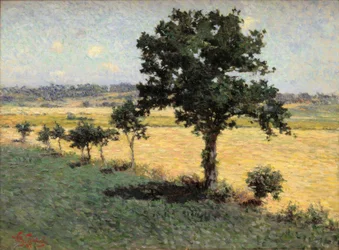 Landschaft