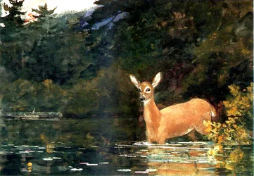 Eine Hirschkuh, 1889