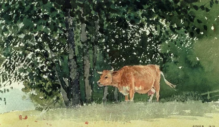 Kuh auf der Weide