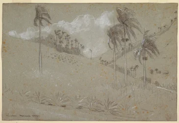 Kubaner Hügellandschaft, 1885