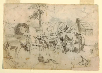 Rastende Maultiere, die an Wagen angebunden sind, 1862