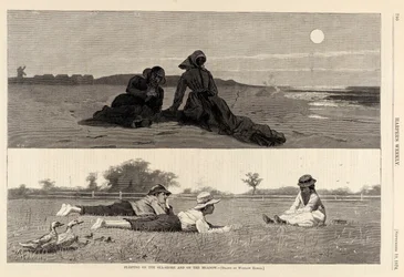 Flirten am Meer und auf der Wiese, aus Harper