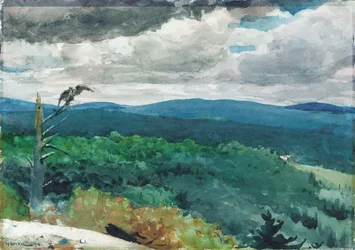 Hügelige Landschaft, 1894