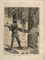 Holzfällerei im Winter