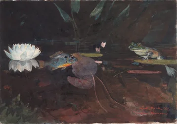 Mink-Teich