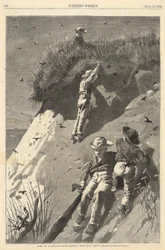 Überfall auf eine Sand-Schwalbenkolonie