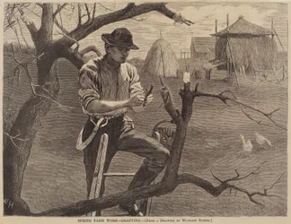 Frühlingsarbeit auf dem Bauernhof - Pfropfen, veröffentlicht 1870