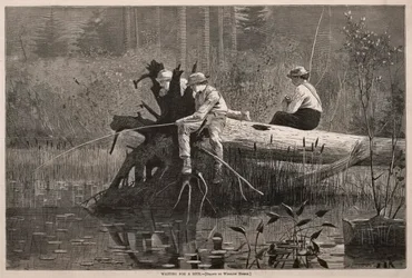 Warten auf einen Biss, 1874