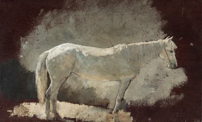 Weißes Pferd